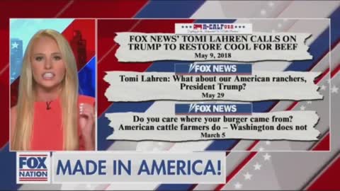 Tomi Lahren discusses the importance of making products in America