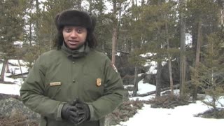 Inside Yellowstone - Hypothermia