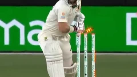 Matthew Wade || what a wicket || rsmvideos02 || cricket short video