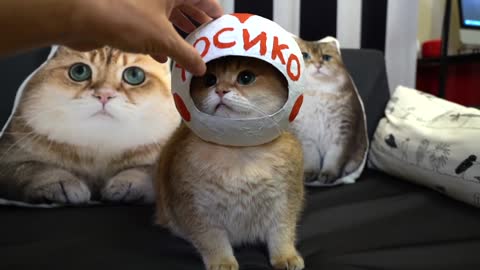 Hosico astronaut