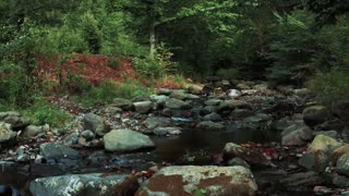 Nice landscape relaxing