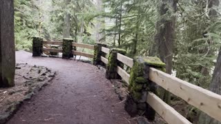 Trailhead of Sahalie Falls & Koosah Falls Loop – Central Oregon – 4K
