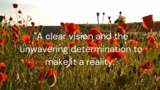 A clear vision and...