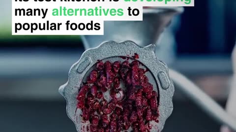 WEF plans to replace real meat with insects and worms