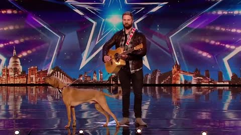 10 FUNNIEST Animal Auditions EVER On Got Talent