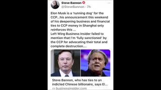 Steve Bannon on Elon Musk