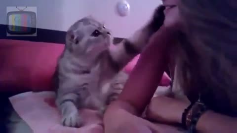 Adorable Kitten Demands Kiss From This Girl