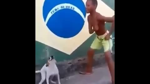 Funny dag dancing with a boy,