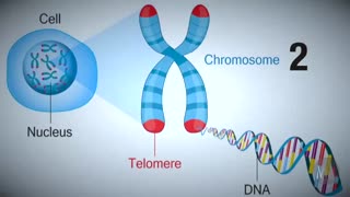 WHAT YOUR DNA ACTUALLY DOES IS MIND BLOWING!