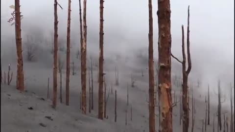 La Palma Volcano finally stopped erupting