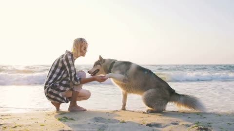 Young female playingwith siberian husky dog on the beach at sunrise, slow motion