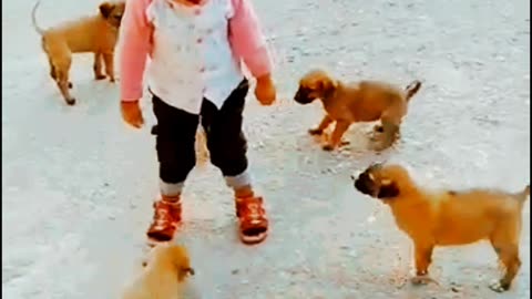 Cute baby Play with cute puppy