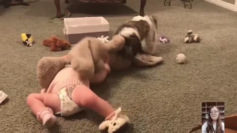 Adorable Babies Playing With Dogs Compilation - Funny Baby And Dog Videos || Just Laugh