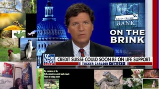 Tucker Carlson Tonight 3/15/2023