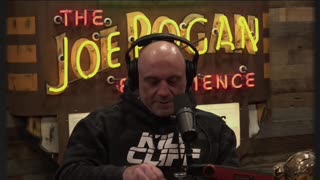 Rogan Eats MAD HONEY On His Podcast With Sonny Side #1925 #jreclips #jreshorts