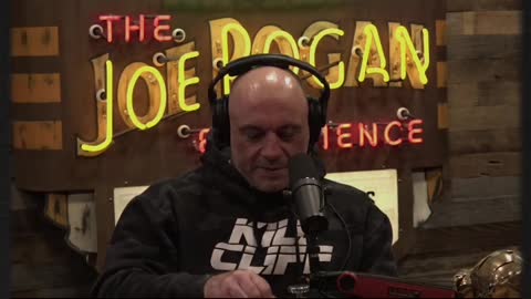 Rogan Eats MAD HONEY On His Podcast With Sonny Side #1925 #jreclips #jreshorts