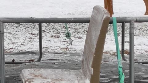 Boxer Pup Plays on Snowy Trampoline