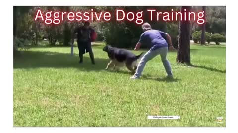 How to train dog aggressive 😡😡😠😠👿👿