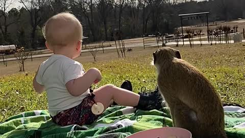 Olive And Bobo See Neighbors During Picnic