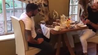 Dudes enjoy breakfast with a pair of giraffes