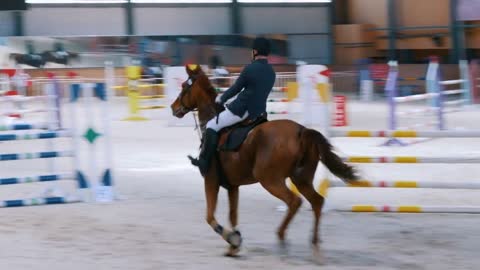 Equestrian championship - Male rider racing on a horse over obstacle