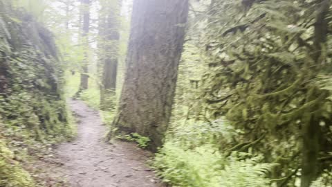 Leaving Upper Latourell Falls – Columbia River Gorge – Oregon – 4K