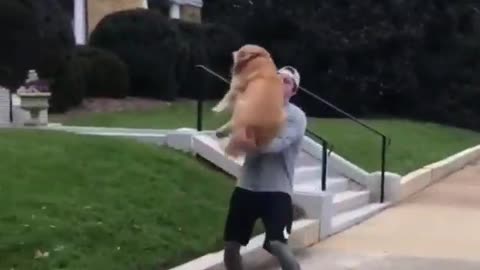 Dog jumps at his master full of joy