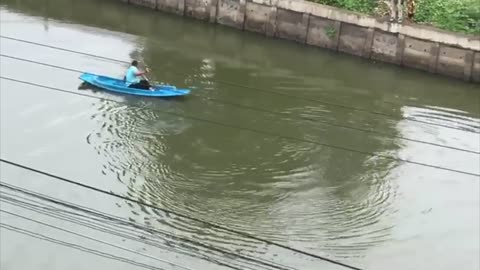 Children Cheer as Student Rescues Kitty