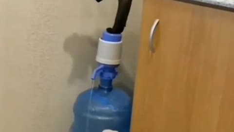 Thirsty Cat Trying to Pump the Water From a Dispenser