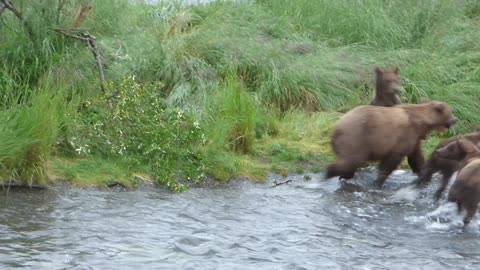 Danger for Cubs