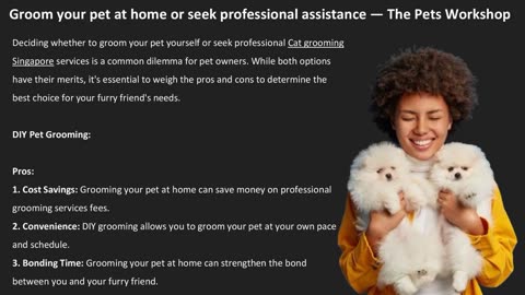 Groom your pet at home or seek professional assistance — The Pets Workshop