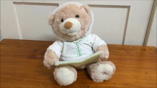My Singing Nursery Rhyme Teddy