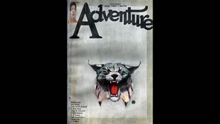 COMENTANDO CAPA REVISTA ADVENTURE GATO BRAVO