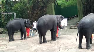 Elephants are playing drawing