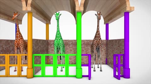 Giraffe cartoon learning colors for children in English