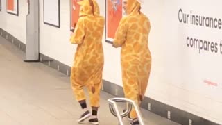 Two people dressed in giraffe costumes