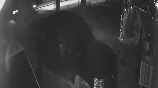 CCTV Catches Driver Hitting Calf and it Lives