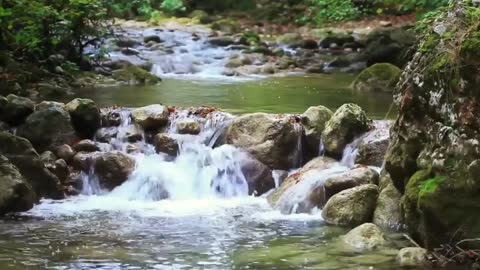 Relaxe com Aguas Calmas para Meditar