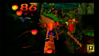 Crash Bandicoot Box Bridge