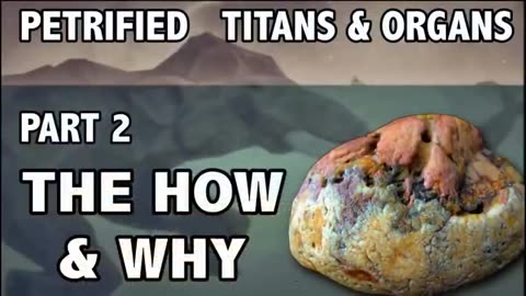 Petrified Titans and Organs The How and Why