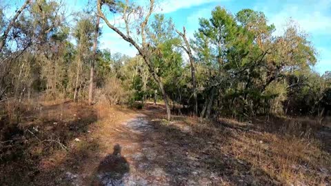 Hiking the Marshall Swamp Trail Again in Central Florida! Yes it is ready and you can mountain bike.