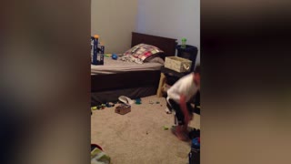 Little Boy Really Hates Cleaning Up