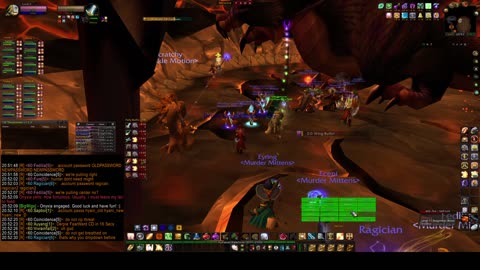 Turtle Wow - MM Onyxia raid - 28 July - paladin POV