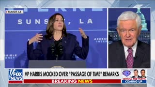 Newt Gingrich TEARS VP Harris To Shreds