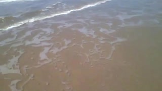 Stepping on the beach sand and receiving the sea foam on feet, amazing sensation! [Nature & Animals]