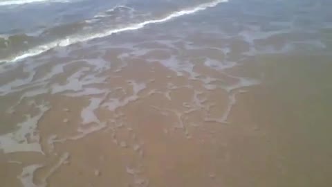 Stepping on the beach sand and receiving the sea foam on feet, amazing sensation! [Nature & Animals]