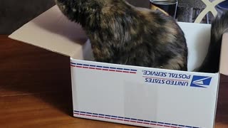 Got her a new box