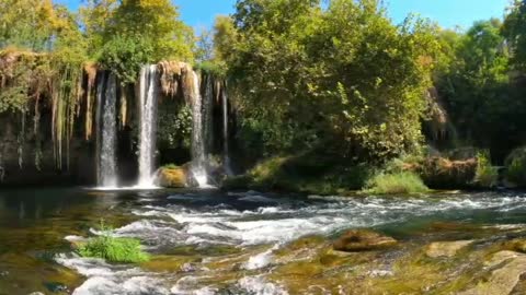 Natural Paradise/Waterfall