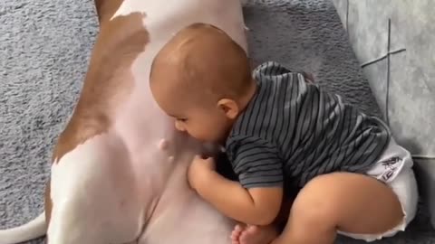 Pitbull and Babies love | Funny baby🐶