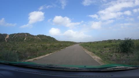 6 Years After Devastating Fire - Pine Forest